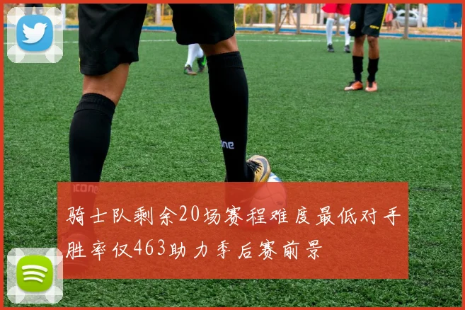 骑士队剩余20场赛程难度最低对手胜率仅463助力季后赛前景