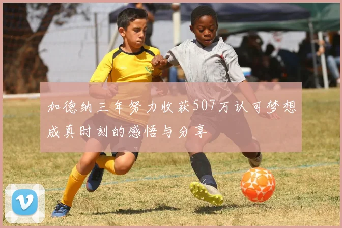 加德纳三年努力收获507万认可梦想成真时刻的感悟与分享